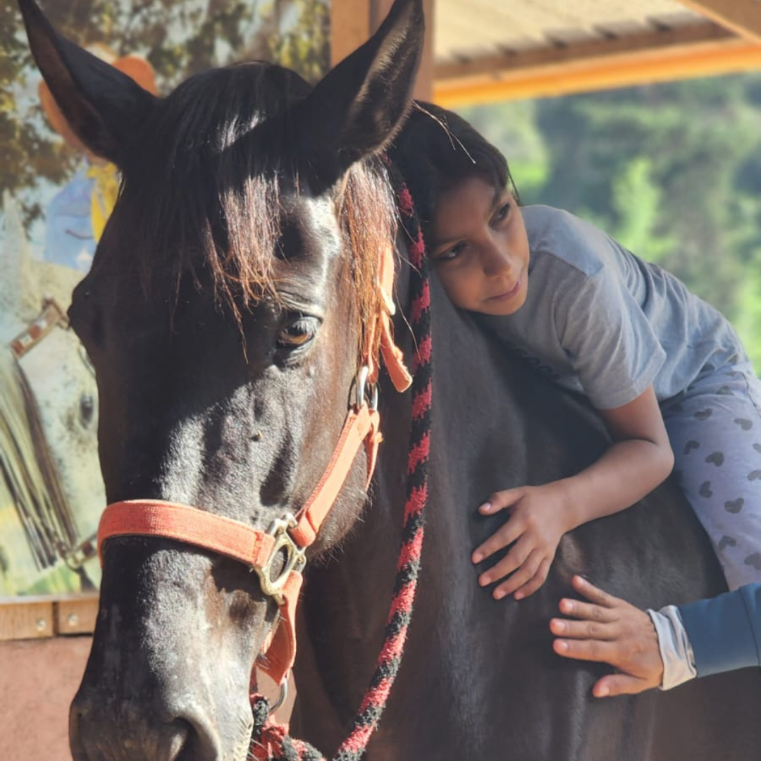 Experiencia en la finca 12