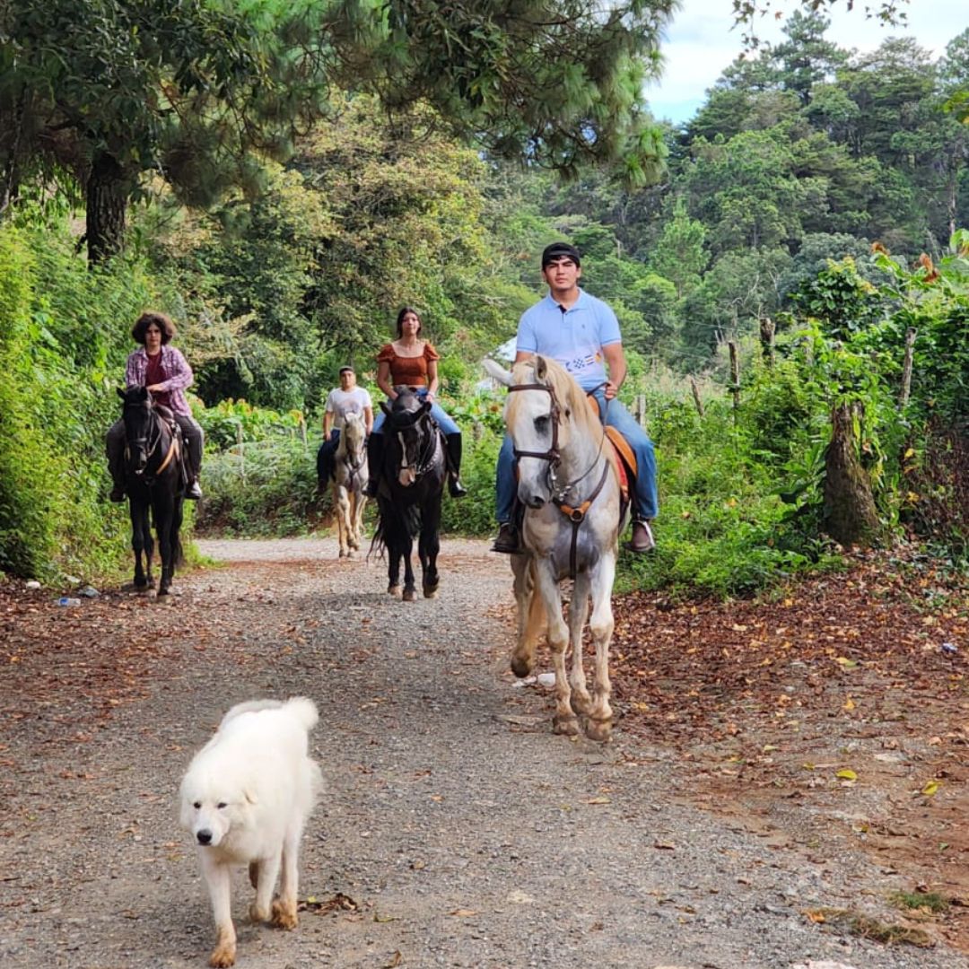 Experiencia en la finca 5